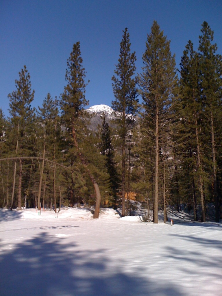 0 Nordic Village Rd  98833