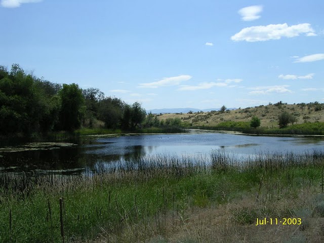 0 Purshia Lane-finley Canyon  98856