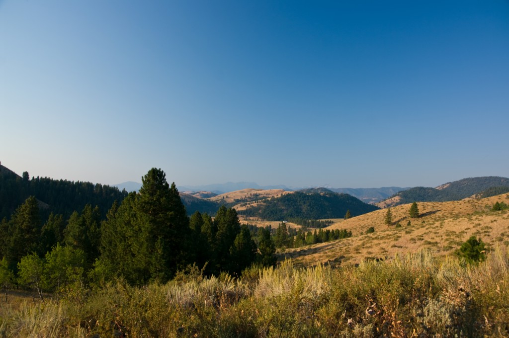 0 Cub Creek Fs 025  98862