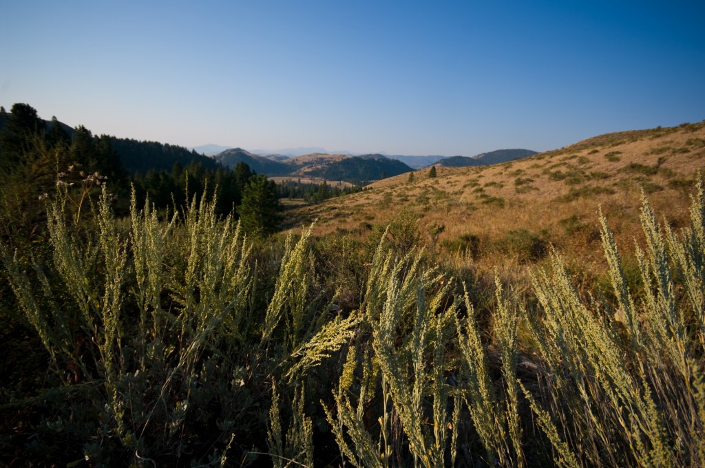 0 Cub Creek Fs 025 Parcel 003  98862