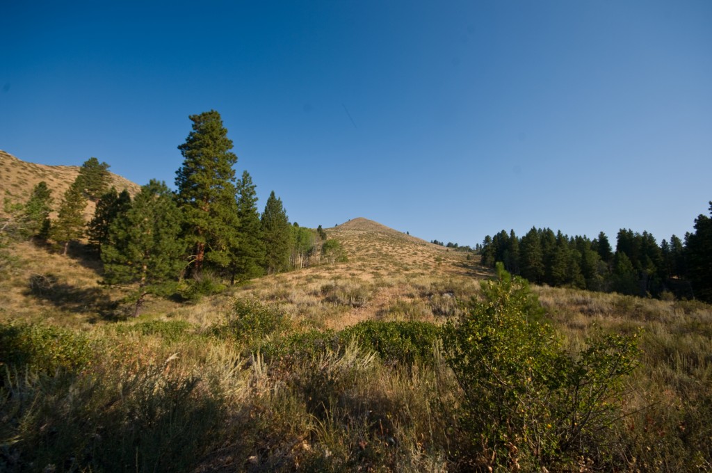 0 Cub Creek Fs 025 Parcel 004  98862