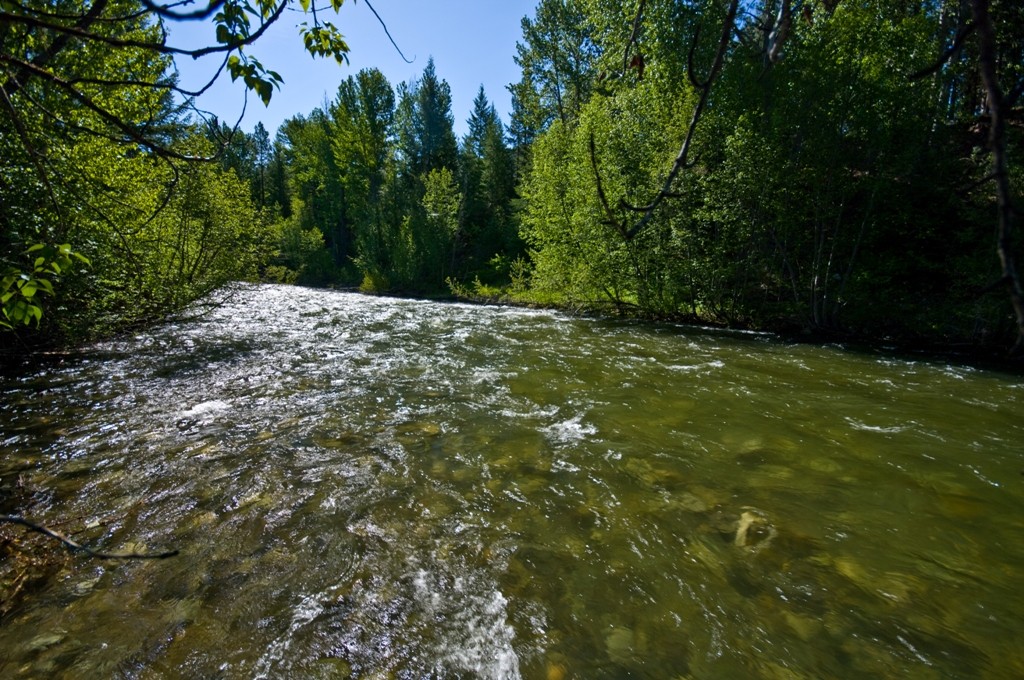 0 Twisp River Rd  98862