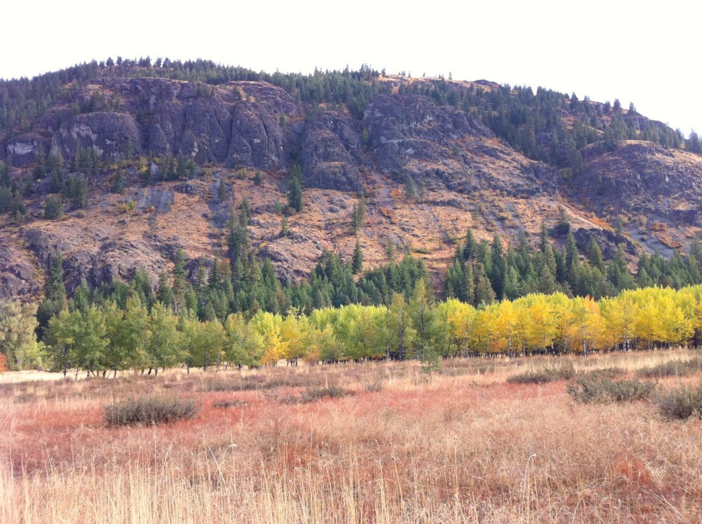 0 Goat Creek Rd  98862