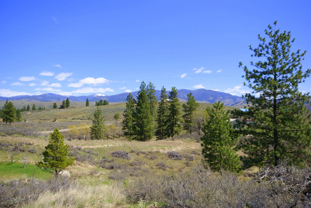 213 Twin Lakes Dr  98862