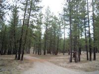 99 Twin Lakes Dr  98862