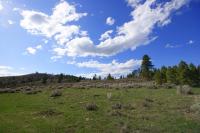54 Sanctuary Lane  98814