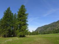 10 Trailside Rd  98833